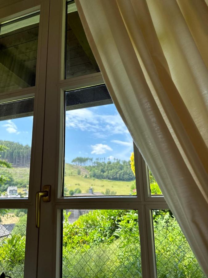 Urlaubsschmiede Winterberg Lägenhet Exteriör bild